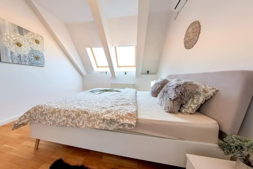 Dd Apartment